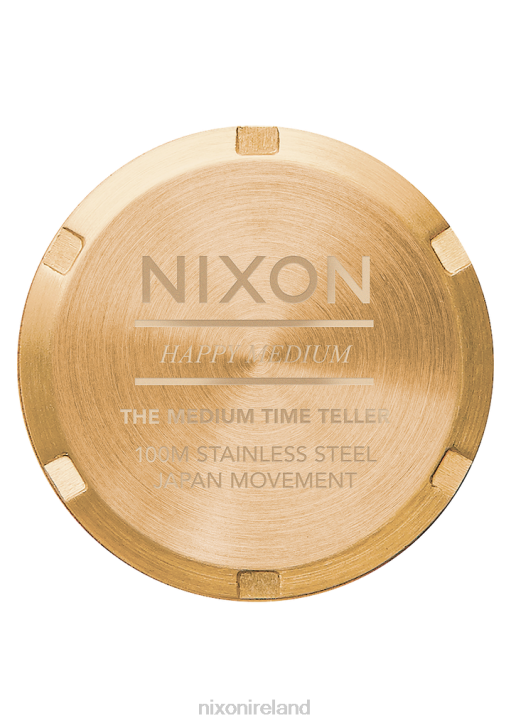 Watch IE Nixon Medium Time Teller All Gold 688T224